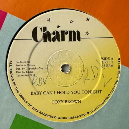 Foxy Brown – Baby Can I Hold You Tonight