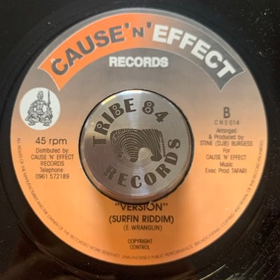 Roger Robin - Caution picture 2
