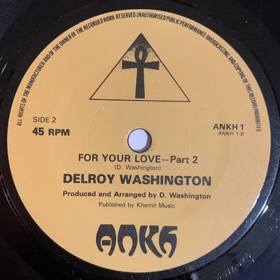 Delroy Washington - For Your Love picture 2