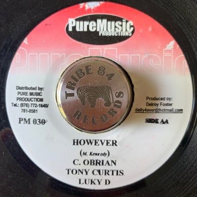 Assassin, Tony Curtis, Lukie D - The Mission / However picture 2