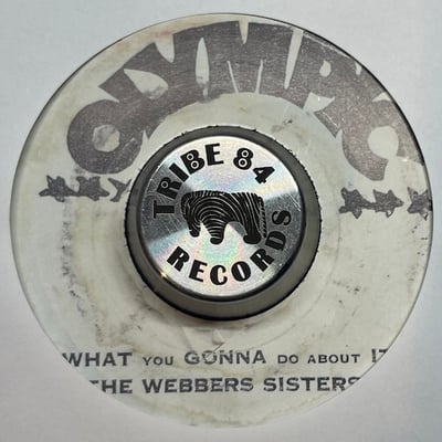 The Termites - Push It Up picture 2