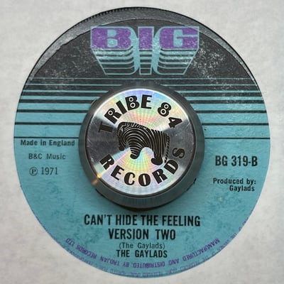 The Gaylads - Can't Hide The Feeling picture 2