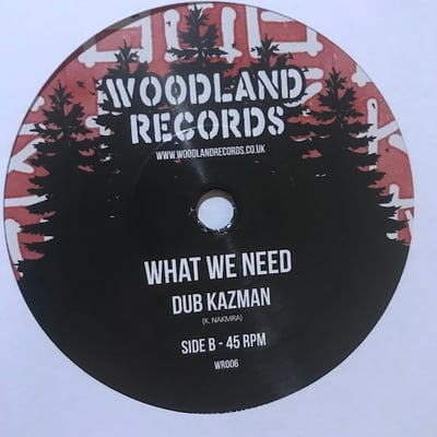 Dub Kazman - What We Want picture 2