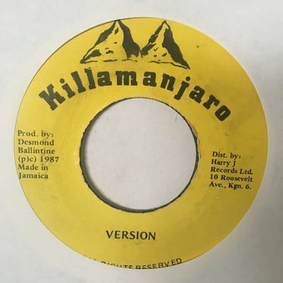 Ninjaman, Courtney Melody - Protection picture 2