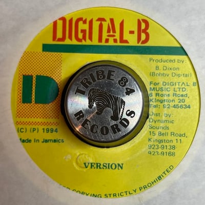 Beenie Man - To All The Youths picture 2