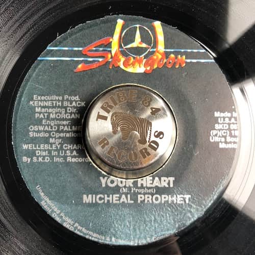 Michael Prophet – Your Heart