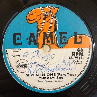 The Gaylads - Seven In One picture 2