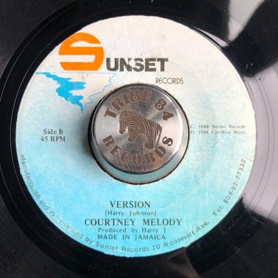 Courtney Melody - Put It Down picture 2