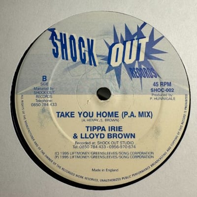Tippa Irie, Lloyd Brown - Take You Home picture 2