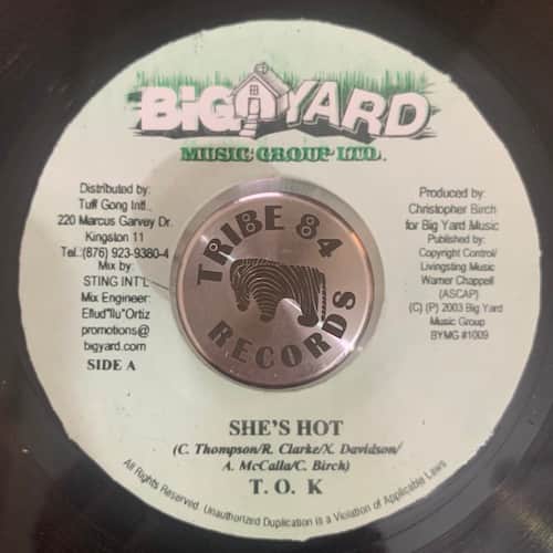 T.O.K. – She's Hot