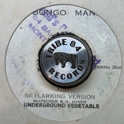 Horace Andy - Skylarking picture 2
