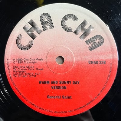 Barrington Levy, General Saint - Warm And Sunny Day  / Warm And Sunny Day picture 2