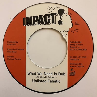 Stefaan "Collieman" Colman, The Wailers Band - What We Need Is Love picture 2