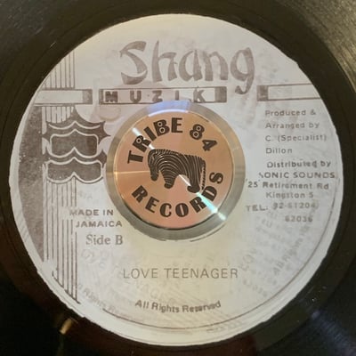 U.U. Madoo, Bounty Killer - Teenager In Love picture 2