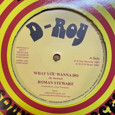 Roman Stewart, The Revolutionaries - What You Wanna Do / Rockers Delight picture 2