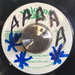 Barrington Levy – She Too Bummy
