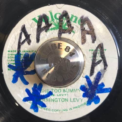 Barrington Levy – She Too Bummy