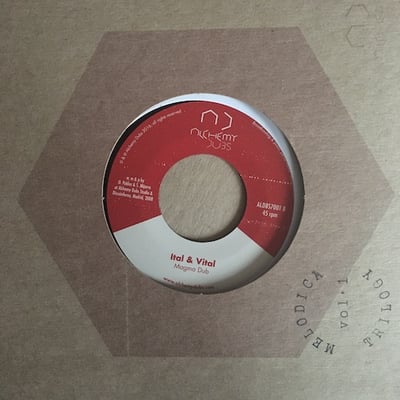 Ital & Vital, Camila M, Ital & Vital - Magma Melodica Cut picture 3