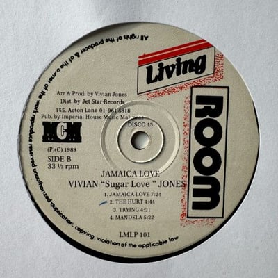 Vivian Jones - Jamaica Love xxx picture 2