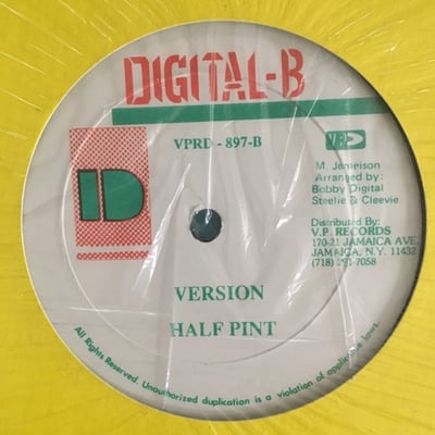 Half Pint - I'm Not A Substitute Lover picture 2