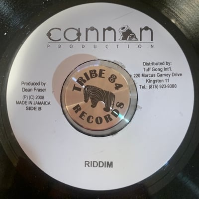 Tarrus Riley - Marcus Teaching picture 2