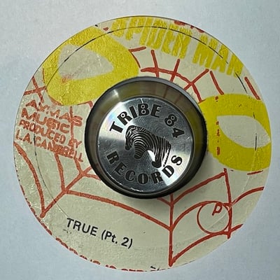 The Tamlins - True True True picture 2