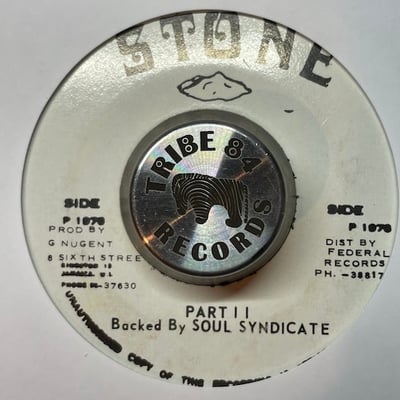 Jah Bengie - I Am A Ethiopian picture 2