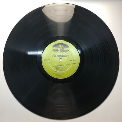 The Roots Radics - Freelance picture 4
