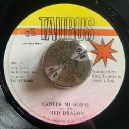 Red Dragon – Canter Mi Horse