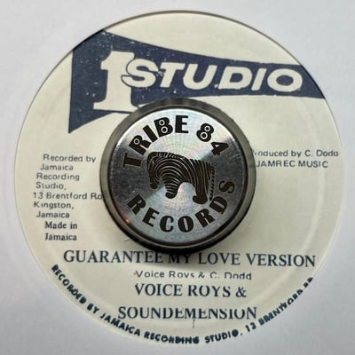 The Viceroys - I Guarantee My Love picture 2