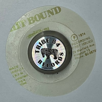 The Mighty Diamonds - Stand Up To Your Judgement picture 2