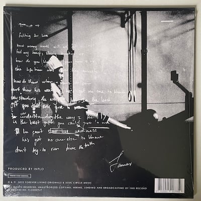 Chronixx - Never Give Up picture 2