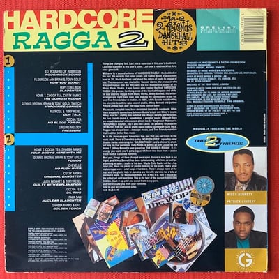 Various - Hardcore Ragga 2 picture 2