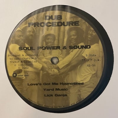 Soul Power & Sound, Al Breadwinner - In Dub Procedure picture 3