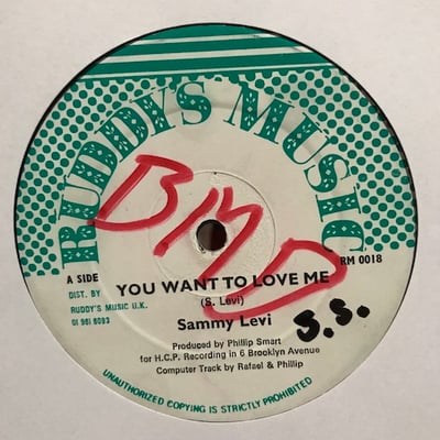 Sammy Levi - You Want To Love Me / Come Off The Road picture 2