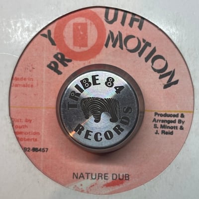 Junior Reid - Human Nature picture 2