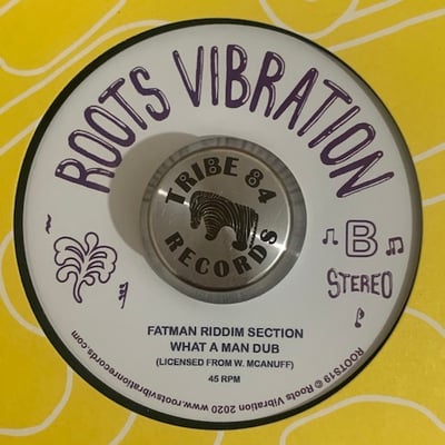 Winston McAnuff - What Man Sow picture 2