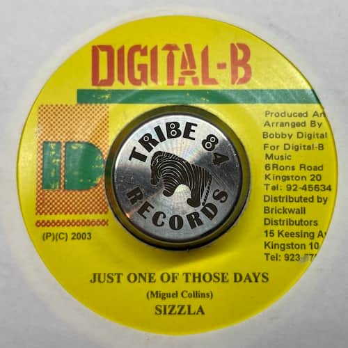 Sizzla – Just One Of Those Days