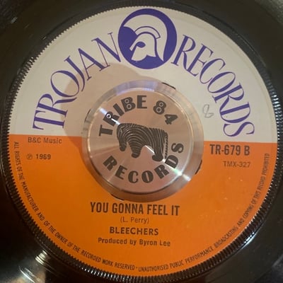 The Bleechers - Ease Up / You Gonna Feel It picture 2