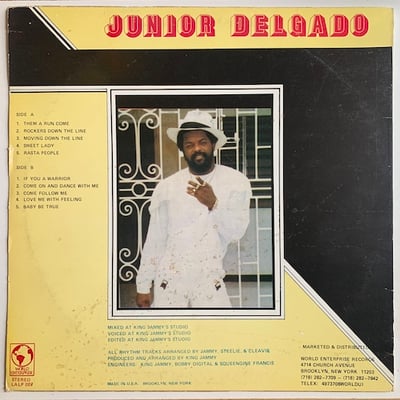 Junior Delgado - Moving Down The Road picture 2