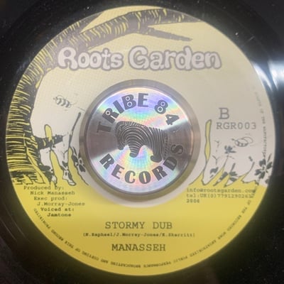 Jah Marnyah - Stormy Weathers picture 2