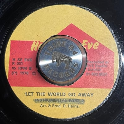 T.T. Ross - Let The World Go Away picture 2