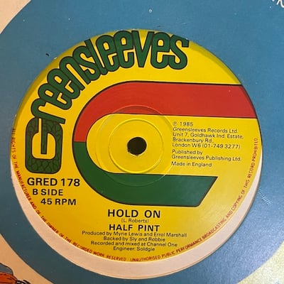 Half Pint - Freedom Fighter / Hold On picture 3