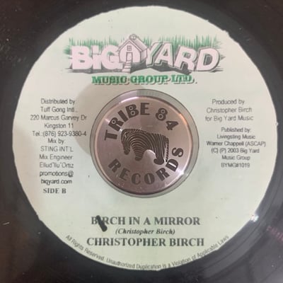 T.O.K. - She's Hot picture 2