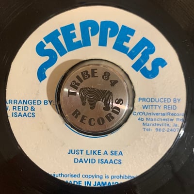 David Isaacs - Just Like A Sea picture 2