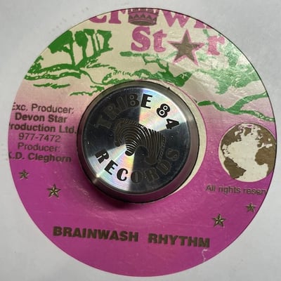 Sizzla - Brainwash picture 2