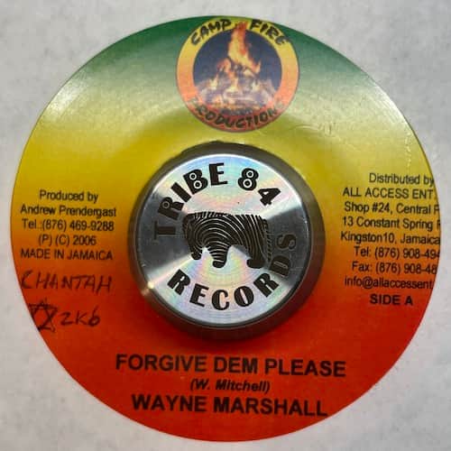 Wayne Marshall – Forgive Dem Please