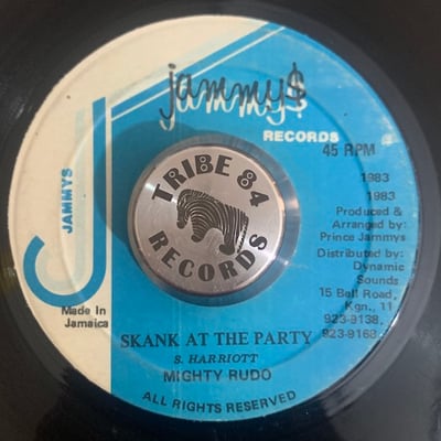 Mighty Rudo - Skank At The Partypicture