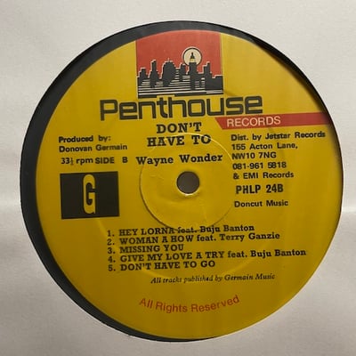 Wayne Wonder - Don't Have To... picture 4