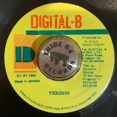 Cocoa Tea - Go Home Soundboy picture 2
